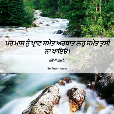 Picture 06 - ਪੈਦਾਇਸ਼ 9:4 PANIRV - ਪਰ ਮਾਸ ਨੂੰ ਪ੍ਰਾਣ - Bible Verse Picture