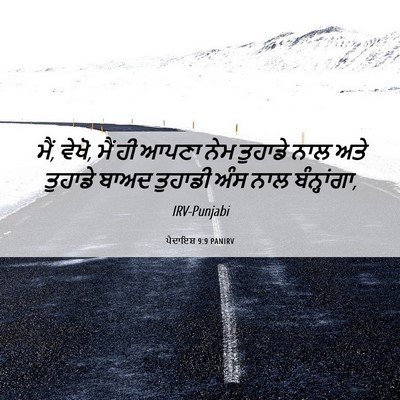 Picture 06 - ਪੈਦਾਇਸ਼ 9:9 PANIRV - ਮੈਂ, ਵੇਖੋ, ਮੈਂ ਹੀ - Bible Verse Picture