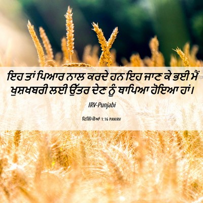 Picture 06 - ਫਿਲਿੱਪੀਆਂ 1:16 PANIRV - ਇਹ ਤਾਂ ਪਿਆਰ ਨਾਲ - Bible Verse Picture