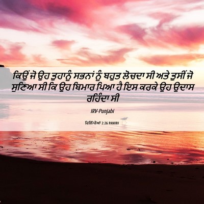 Picture 06 - ਫਿਲਿੱਪੀਆਂ 2:26 PANIRV - ਕਿਉਂ ਜੋ ਉਹ ਤੁਹਾਨੂੰ - Bible Verse Picture