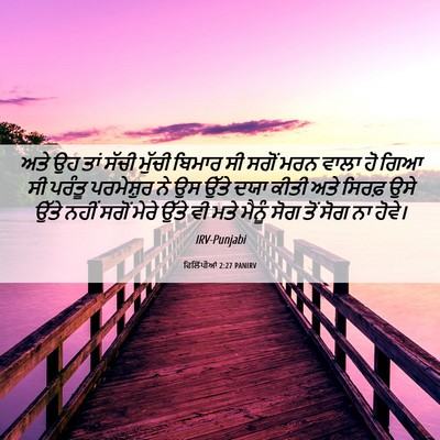 Picture 06 - ਫਿਲਿੱਪੀਆਂ 2:27 PANIRV - ਅਤੇ ਉਹ ਤਾਂ ਸੱਚੀ - Bible Verse Picture
