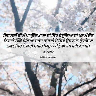 Picture 06 - ਫਿਲਿੱਪੀਆਂ 3:12 PANIRV - ਇਹ ਨਹੀਂ ਕੀ ਮੈਂ ਪਾ - Bible Verse Picture