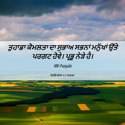 Picture 06 - ਫਿਲਿੱਪੀਆਂ 4:5 PANIRV - ਤੁਹਾਡਾ ਕੋਮਲਤਾ ਦਾ - Bible Verse Picture
