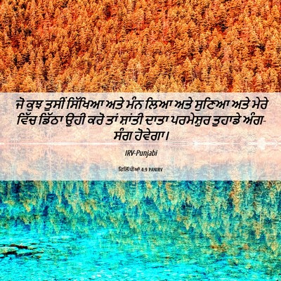 Picture 06 - ਫਿਲਿੱਪੀਆਂ 4:9 PANIRV - ਜੋ ਕੁਝ ਤੁਸੀਂ - Bible Verse Picture