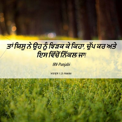 Picture 06 - ਮਰਕੁਸ 1:25 PANIRV - ਤਾਂ ਯਿਸੂ ਨੇ ਉਹ ਨੂੰ - Bible Verse Picture