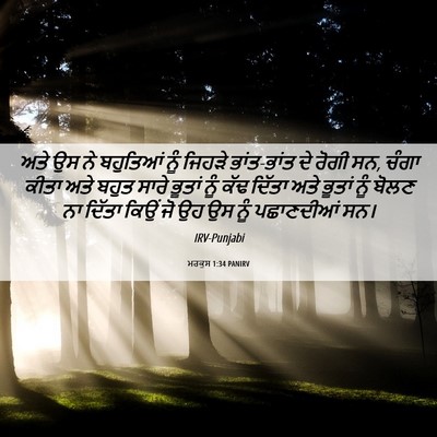 Picture 06 - ਮਰਕੁਸ 1:34 PANIRV - ਅਤੇ ਉਸ ਨੇ ਬਹੁਤਿਆਂ - Bible Verse Picture