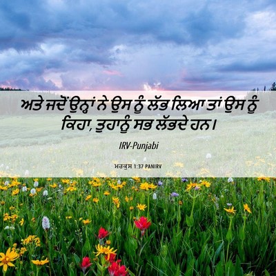 Picture 06 - ਮਰਕੁਸ 1:37 PANIRV - ਅਤੇ ਜਦੋਂ ਉਨ੍ਹਾਂ ਨੇ - Bible Verse Picture