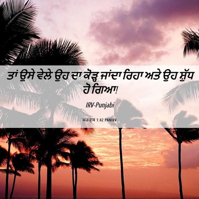 Picture 06 - ਮਰਕੁਸ 1:42 PANIRV - ਤਾਂ ਉਸੇ ਵੇਲੇ ਉਹ ਦਾ - Bible Verse Picture