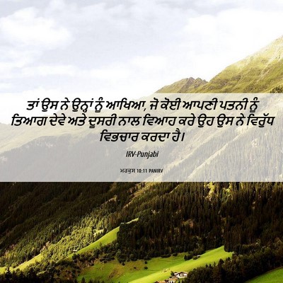 Picture 06 - ਮਰਕੁਸ 10:11 PANIRV - ਤਾਂ ਉਸ ਨੇ ਉਨ੍ਹਾਂ - Bible Verse Picture