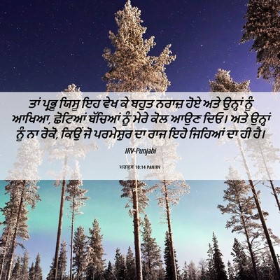 Picture 06 - ਮਰਕੁਸ 10:14 PANIRV - ਤਾਂ ਪ੍ਰਭੂ ਯਿਸੂ ਇਹ - Bible Verse Picture