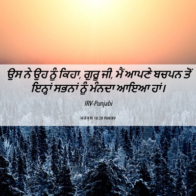 Picture 06 - ਮਰਕੁਸ 10:20 PANIRV - ਉਸ ਨੇ ਉਹ ਨੂੰ ਕਿਹਾ, - Bible Verse Picture
