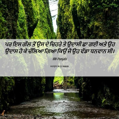 Picture 06 - ਮਰਕੁਸ 10:22 PANIRV - ਪਰ ਇਸ ਗੱਲ ਤੋਂ ਉਸ ਦੇ - Bible Verse Picture