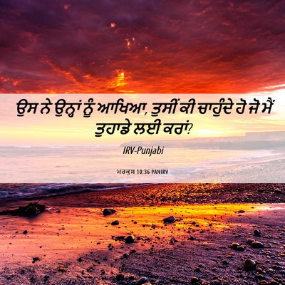 Picture 06 - ਮਰਕੁਸ 10:36 PANIRV - ਉਸ ਨੇ ਉਨ੍ਹਾਂ ਨੂੰ - Bible Verse Picture