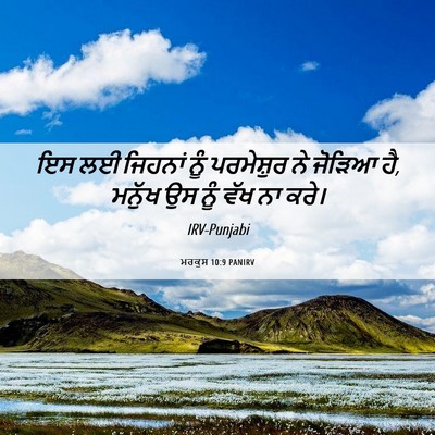 Picture 06 - ਮਰਕੁਸ 10:9 PANIRV - ਇਸ ਲਈ ਜਿਹਨਾਂ ਨੂੰ - Bible Verse Picture