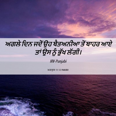 Picture 06 - ਮਰਕੁਸ 11:12 PANIRV - ਅਗਲੇ ਦਿਨ ਜਦੋਂ ਉਹ - Bible Verse Picture