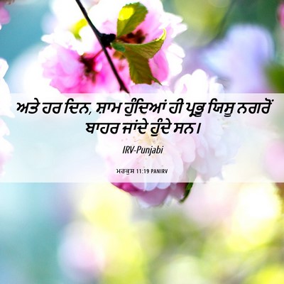 Picture 06 - ਮਰਕੁਸ 11:19 PANIRV - ਅਤੇ ਹਰ ਦਿਨ, ਸ਼ਾਮ - Bible Verse Picture