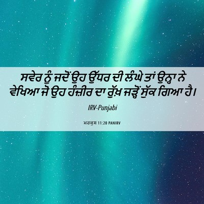 Picture 06 - ਮਰਕੁਸ 11:20 PANIRV - ਸਵੇਰ ਨੂੰ ਜਦੋਂ ਉਹ - Bible Verse Picture