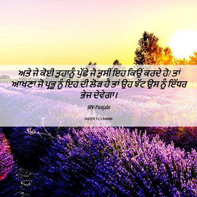Picture 06 - ਮਰਕੁਸ 11:3 PANIRV - ਅਤੇ ਜੇ ਕੋਈ ਤੁਹਾਨੂੰ - Bible Verse Picture