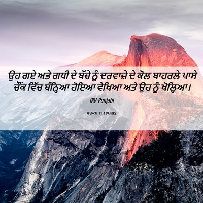 Picture 06 - ਮਰਕੁਸ 11:4 PANIRV - ਉਹ ਗਏ ਅਤੇ ਗਧੀ ਦੇ - Bible Verse Picture