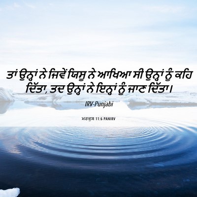 Picture 06 - ਮਰਕੁਸ 11:6 PANIRV - ਤਾਂ ਉਨ੍ਹਾਂ ਨੇ - Bible Verse Picture