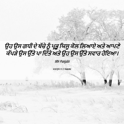Picture 06 - ਮਰਕੁਸ 11:7 PANIRV - ਉਹ ਉਸ ਗਧੀ ਦੇ ਬੱਚੇ - Bible Verse Picture