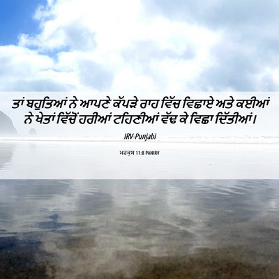 Picture 06 - ਮਰਕੁਸ 11:8 PANIRV - ਤਾਂ ਬਹੁਤਿਆਂ ਨੇ - Bible Verse Picture