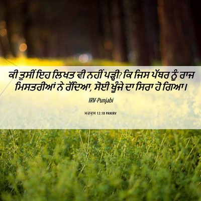 Picture 06 - ਮਰਕੁਸ 12:10 PANIRV - ਕੀ ਤੁਸੀਂ ਇਹ ਲਿਖਤ ਵੀ - Bible Verse Picture