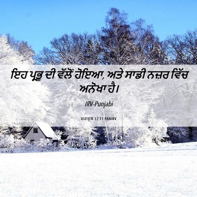 Picture 06 - ਮਰਕੁਸ 12:11 PANIRV - ਇਹ ਪ੍ਰਭੂ ਦੀ ਵੱਲੋਂ - Bible Verse Picture