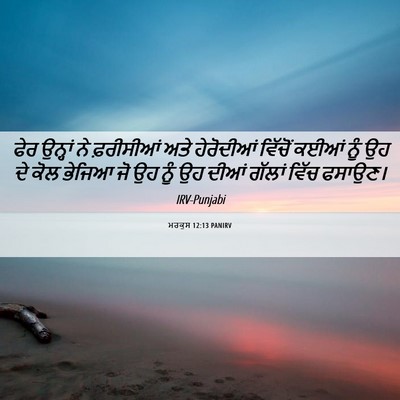 Picture 06 - ਮਰਕੁਸ 12:13 PANIRV - ਫੇਰ ਉਨ੍ਹਾਂ ਨੇ - Bible Verse Picture
