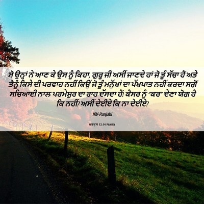 Picture 06 - ਮਰਕੁਸ 12:14 PANIRV - ਸੋ ਉਨ੍ਹਾਂ ਨੇ ਆਣ ਕੇ - Bible Verse Picture