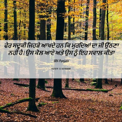 Picture 06 - ਮਰਕੁਸ 12:18 PANIRV - ਫੇਰ ਸਦੂਕੀ ਜਿਹੜੇ - Bible Verse Picture