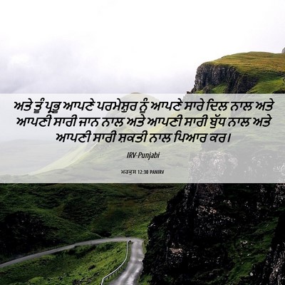 Picture 06 - ਮਰਕੁਸ 12:30 PANIRV - ਅਤੇ ਤੂੰ ਪ੍ਰਭੂ ਆਪਣੇ - Bible Verse Picture