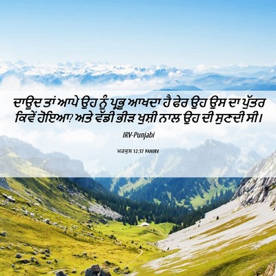 Picture 06 - ਮਰਕੁਸ 12:37 PANIRV - ਦਾਊਦ ਤਾਂ ਆਪੇ ਉਹ ਨੂੰ - Bible Verse Picture