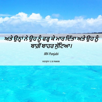 Picture 06 - ਮਰਕੁਸ 12:8 PANIRV - ਅਤੇ ਉਨ੍ਹਾਂ ਨੇ ਉਹ - Bible Verse Picture