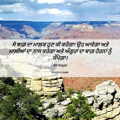 Picture 06 - ਮਰਕੁਸ 12:9 PANIRV - ਸੋ ਬਾਗ਼ ਦਾ ਮਾਲਕ ਹੁਣ - Bible Verse Picture