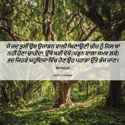 Picture 06 - ਮਰਕੁਸ 13:14 PANIRV - ਸੋ ਜਦ ਤੁਸੀਂ ਉਸ - Bible Verse Picture