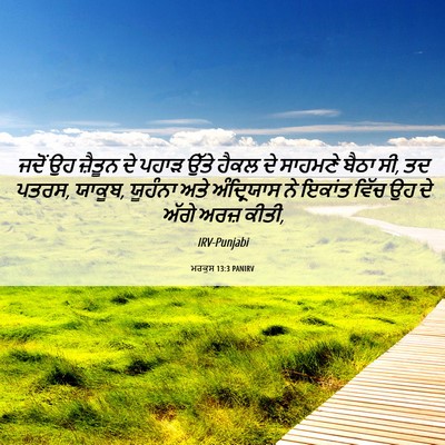 Picture 06 - ਮਰਕੁਸ 13:3 PANIRV - ਜਦੋਂ ਉਹ ਜ਼ੈਤੂਨ ਦੇ - Bible Verse Picture
