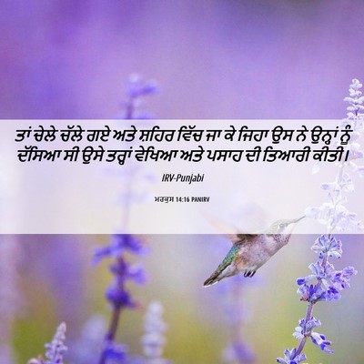 Picture 06 - ਮਰਕੁਸ 14:16 PANIRV - ਤਾਂ ਚੇਲੇ ਚੱਲੇ ਗਏ - Bible Verse Picture