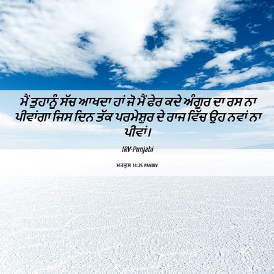 Picture 06 - ਮਰਕੁਸ 14:25 PANIRV - ਮੈਂ ਤੁਹਾਨੂੰ ਸੱਚ - Bible Verse Picture