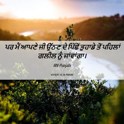 Picture 06 - ਮਰਕੁਸ 14:28 PANIRV - ਪਰ ਮੈਂ ਆਪਣੇ ਜੀ ਉੱਠਣ - Bible Verse Picture