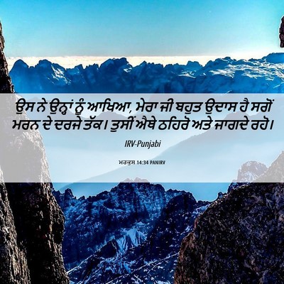 Picture 06 - ਮਰਕੁਸ 14:34 PANIRV - ਉਸ ਨੇ ਉਨ੍ਹਾਂ ਨੂੰ - Bible Verse Picture