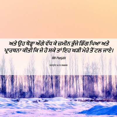 Picture 06 - ਮਰਕੁਸ 14:35 PANIRV - ਅਤੇ ਉਹ ਥੋੜ੍ਹਾ ਅੱਗੇ - Bible Verse Picture