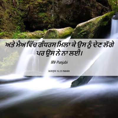 Picture 06 - ਮਰਕੁਸ 15:23 PANIRV - ਅਤੇ ਮੈਅ ਵਿੱਚ ਗੰਧਰਸ - Bible Verse Picture