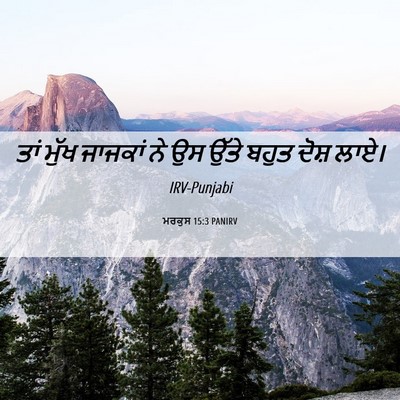 Picture 06 - ਮਰਕੁਸ 15:3 PANIRV - ਤਾਂ ਮੁੱਖ ਜਾਜਕਾਂ ਨੇ - Bible Verse Picture
