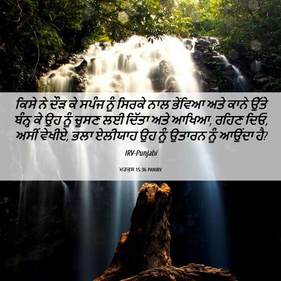 Picture 06 - ਮਰਕੁਸ 15:36 PANIRV - ਕਿਸੇ ਨੇ ਦੌੜ ਕੇ ਸਪੰਜ - Bible Verse Picture