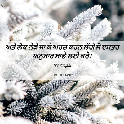 Picture 06 - ਮਰਕੁਸ 15:8 PANIRV - ਅਤੇ ਲੋਕ ਨੇੜੇ ਜਾ ਕੇ - Bible Verse Picture
