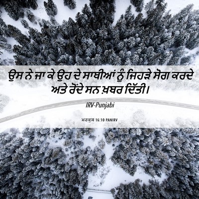 Picture 06 - ਮਰਕੁਸ 16:10 PANIRV - ਉਸ ਨੇ ਜਾ ਕੇ ਉਹ ਦੇ - Bible Verse Picture
