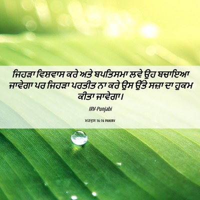 Picture 06 - ਮਰਕੁਸ 16:16 PANIRV - ਜਿਹੜਾ ਵਿਸ਼ਵਾਸ ਕਰੇ - Bible Verse Picture