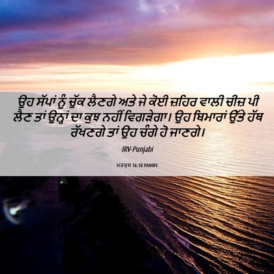 Picture 06 - ਮਰਕੁਸ 16:18 PANIRV - ਉਹ ਸੱਪਾਂ ਨੂੰ ਚੁੱਕ - Bible Verse Picture
