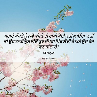 Picture 06 - ਮਰਕੁਸ 2:21 PANIRV - ਪੁਰਾਣੇ ਕੱਪੜੇ ਨੂੰ - Bible Verse Picture